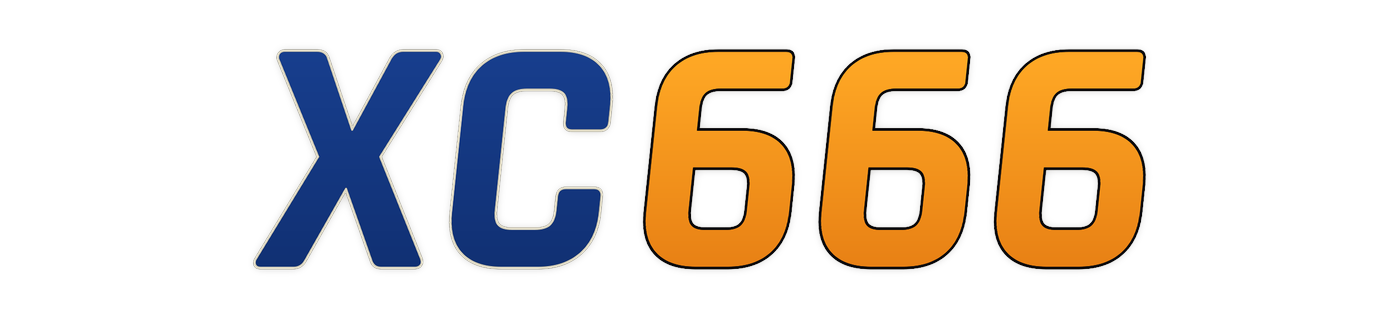 xc666
